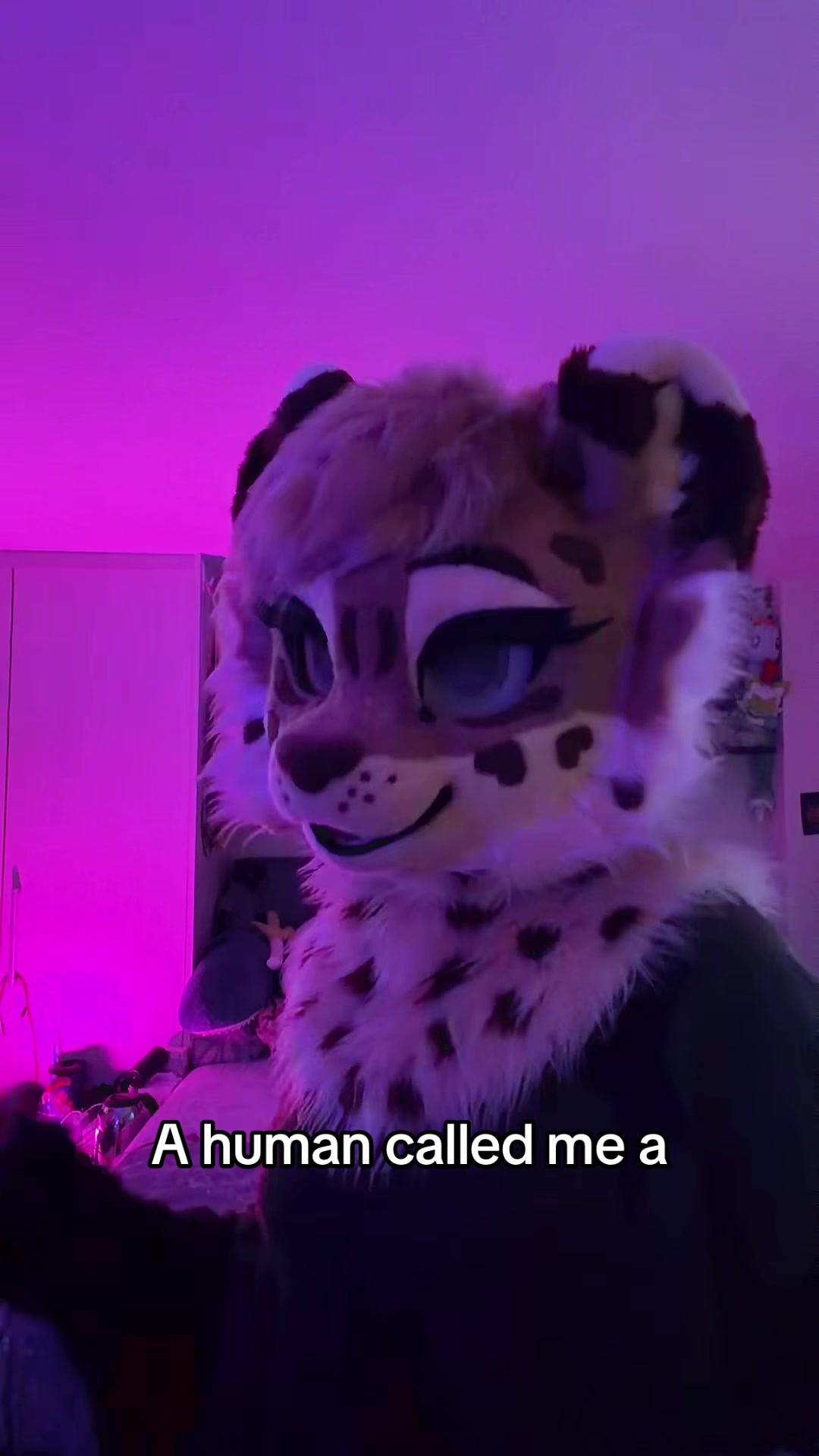 @Amyquel