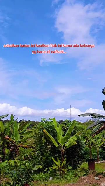 @SYAMSUL BAHRY
