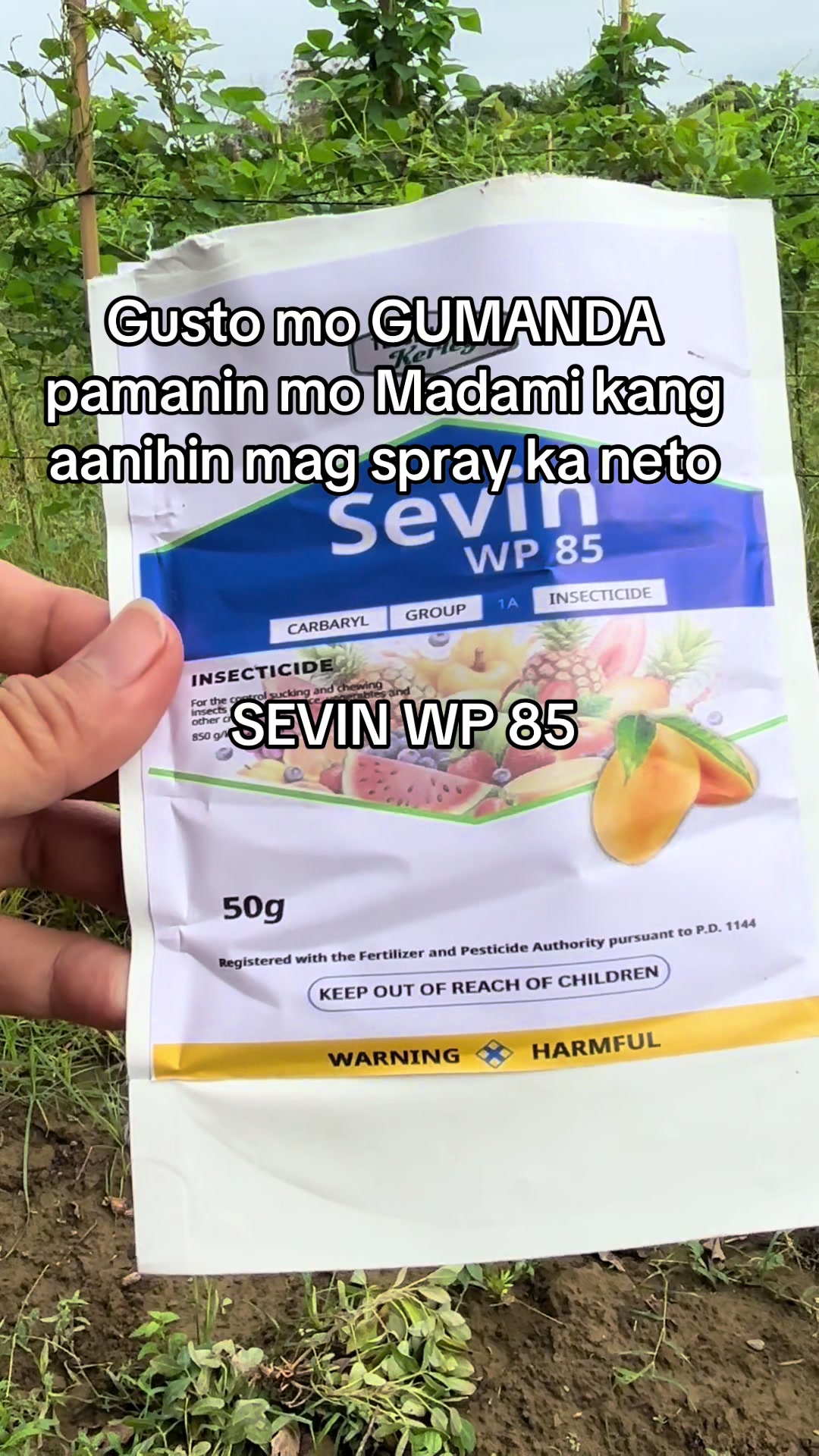 @BOSS MADAM HANNAH