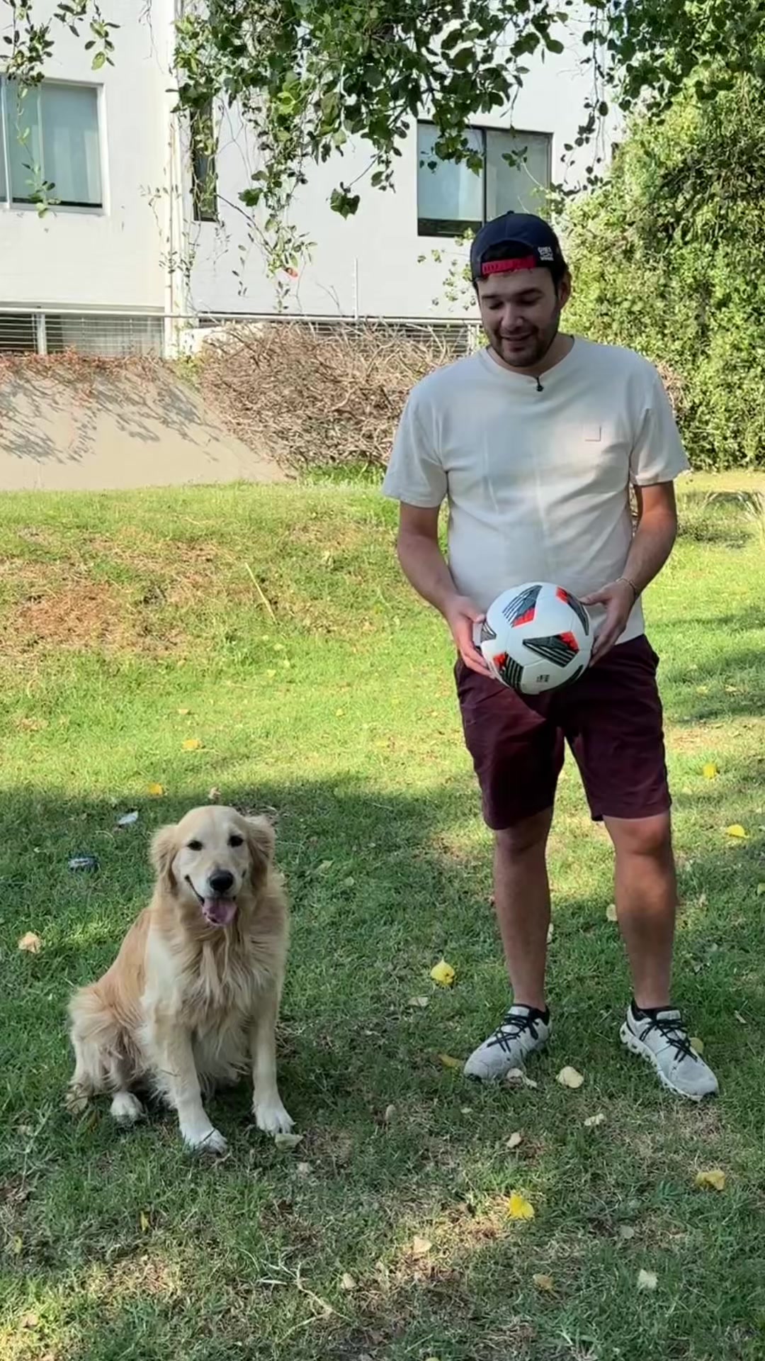 @Felipe y Saúl