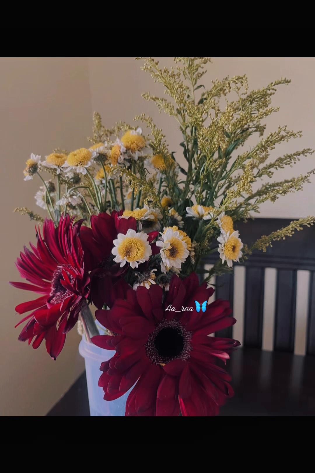 @lavhAraa🦋
