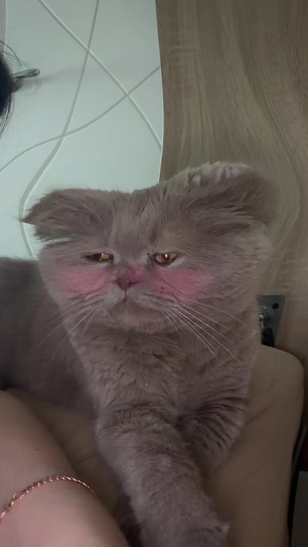 @Murkrismur