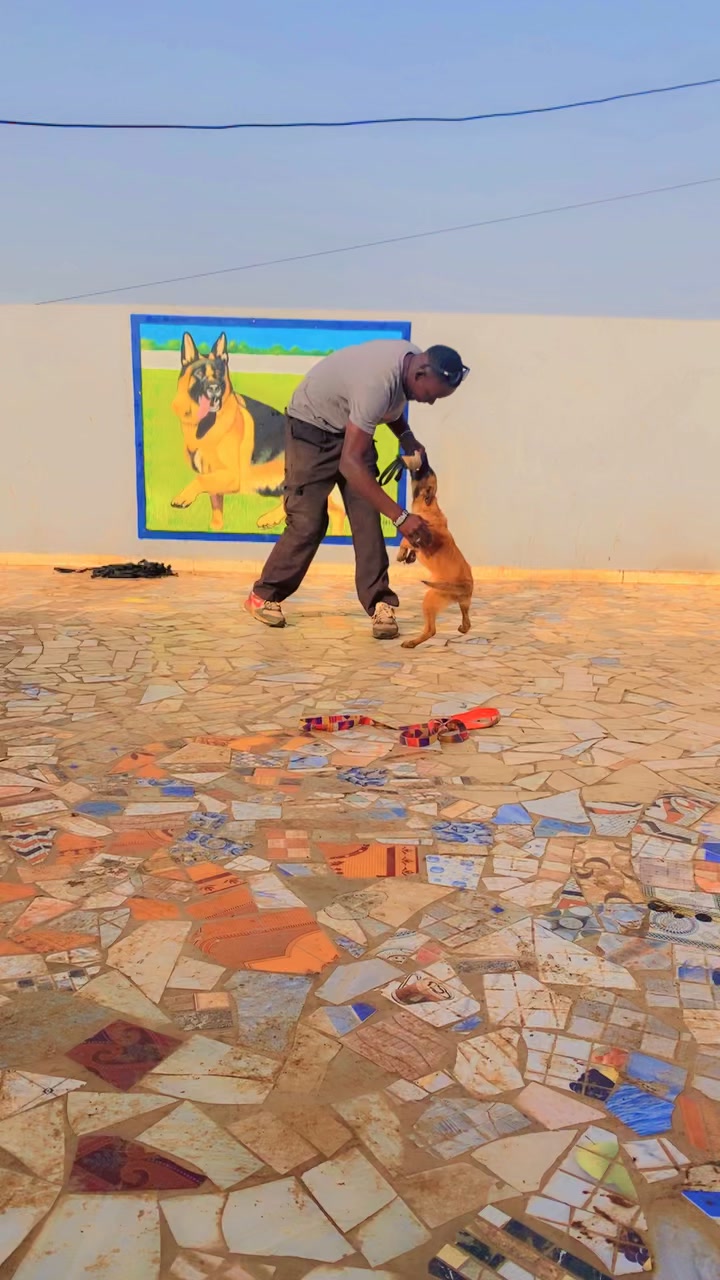 @G.I.C.N 🇸🇳🐾Ma&icirc;tre Weuz🐕&zwj;🦺