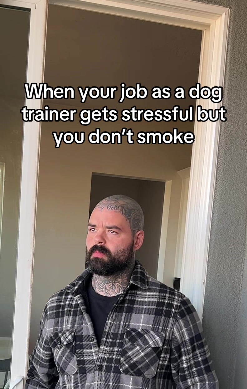 @Lobato Dog Training