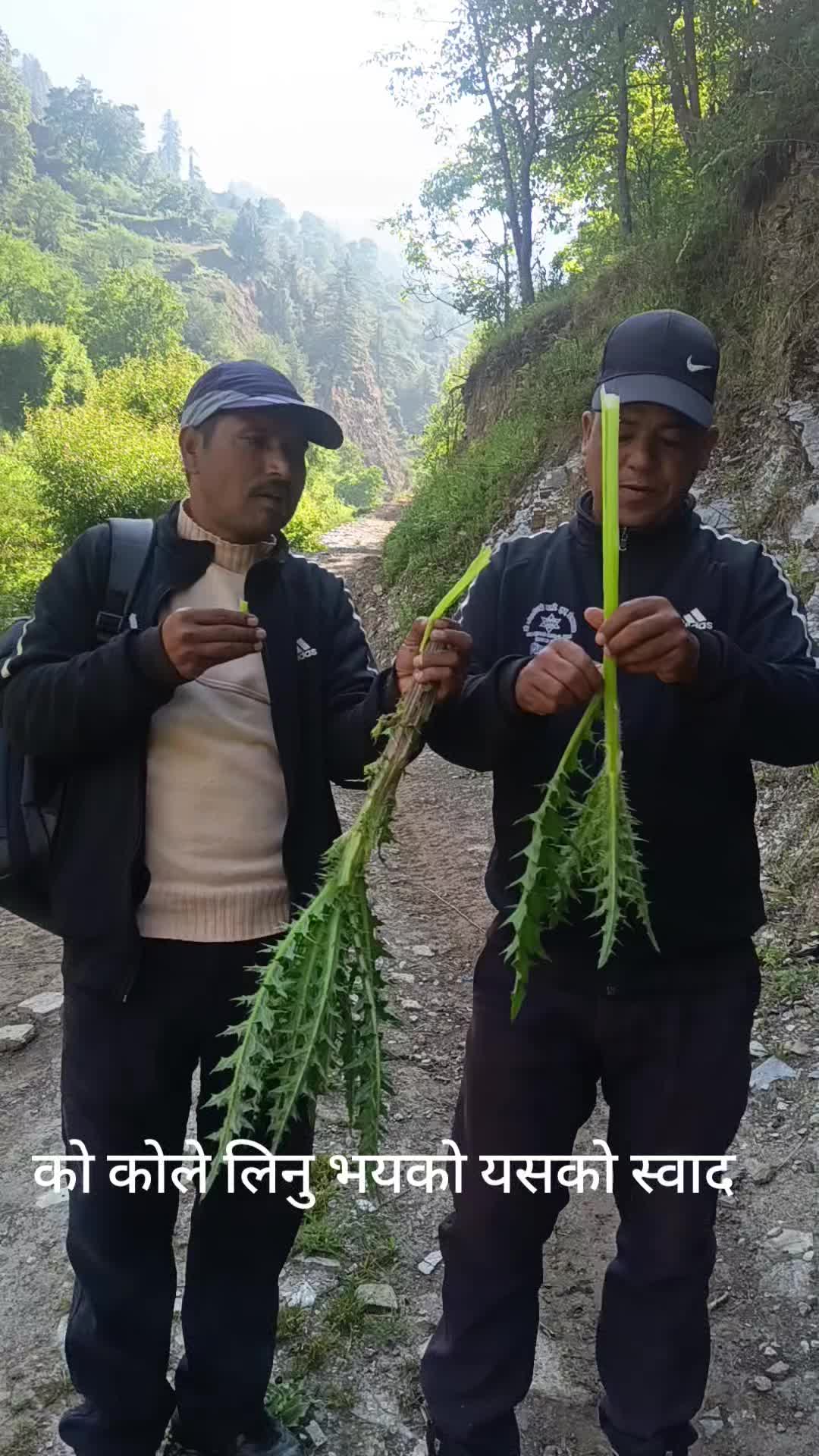 @जनक कार्की ( जुम्ली छोट्या )
