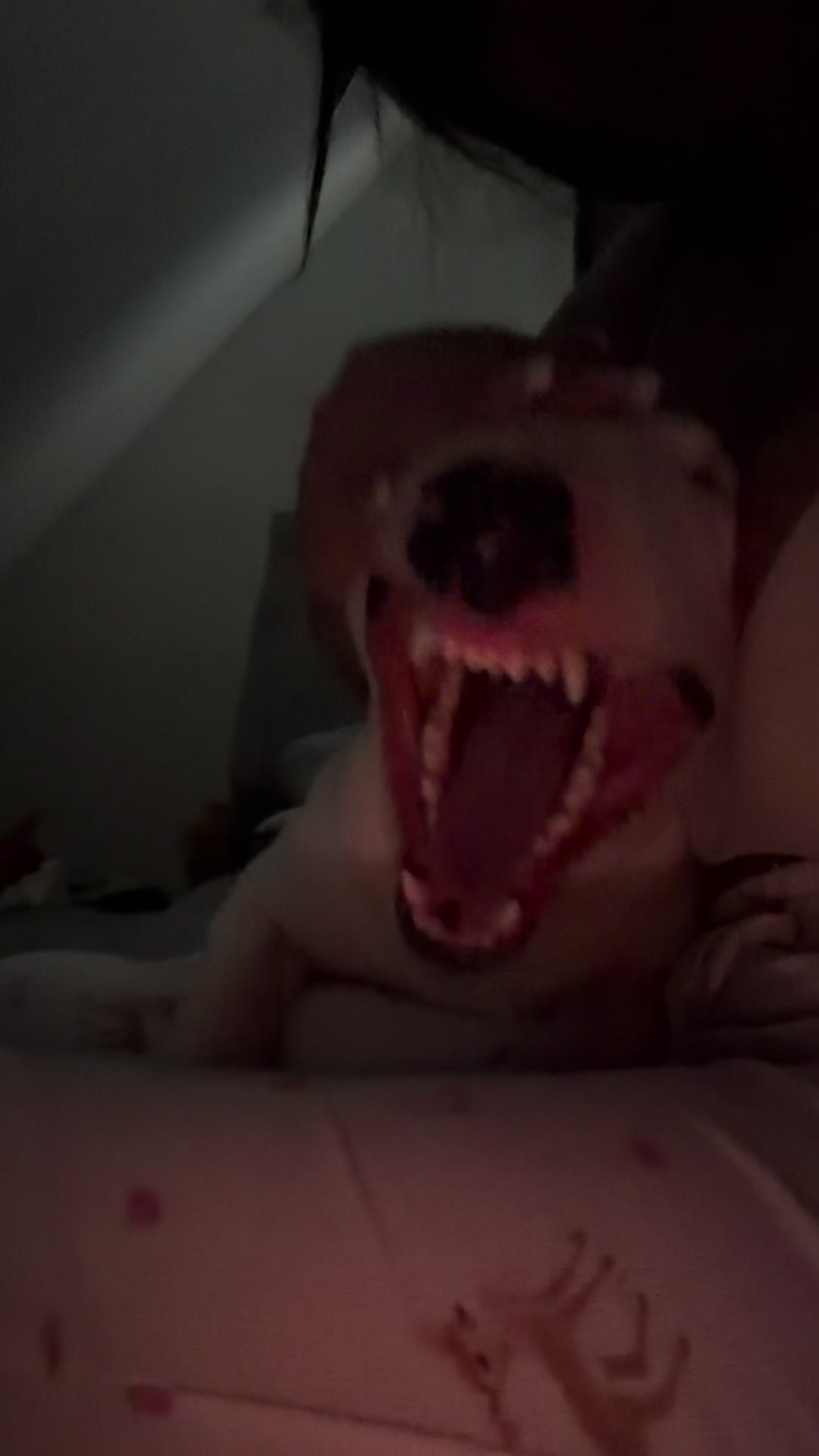 @๐๐๐๐โ๐๐๐๐ ๐งธ™๏ธ