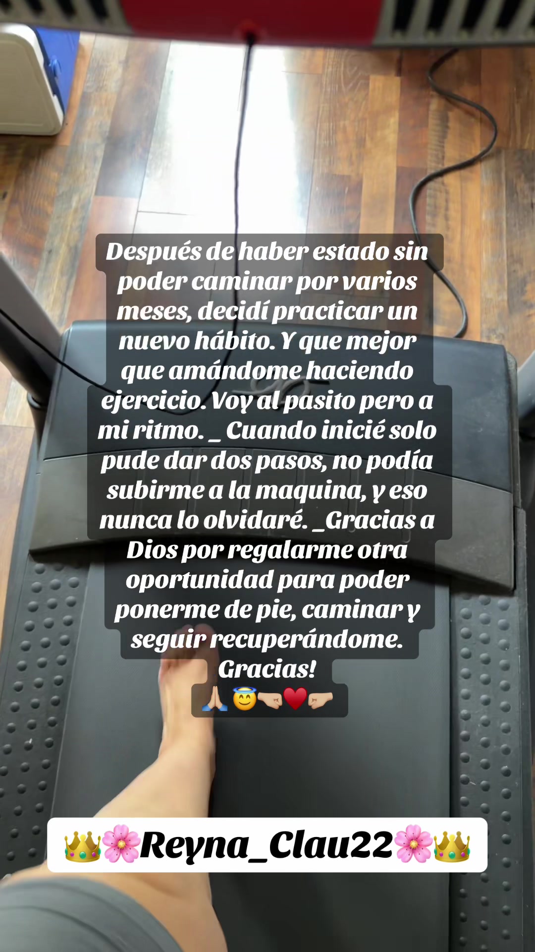 @👑🌸Reyna_Clau22🌸👑