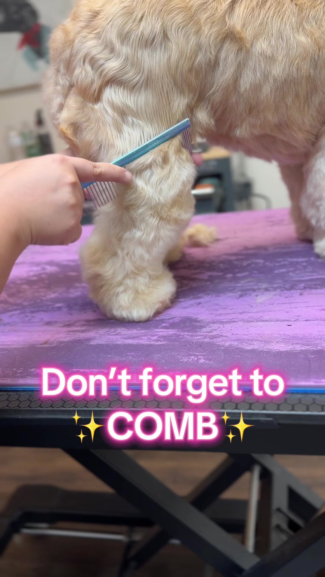 @DIRTY.PAWS.PETSALON