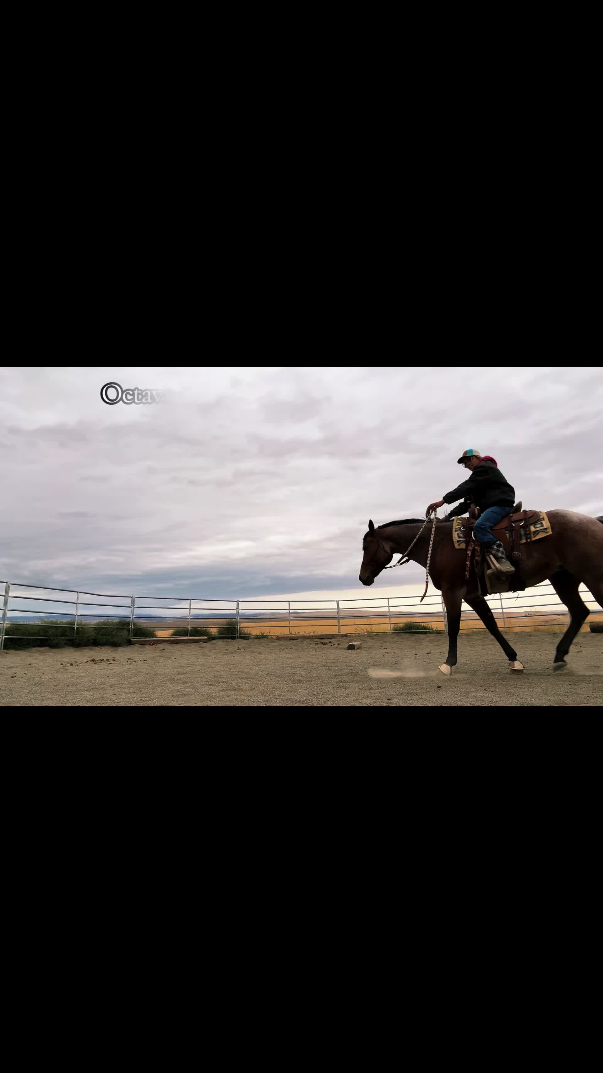@Cowgirl Tuff Colt Training ❤️