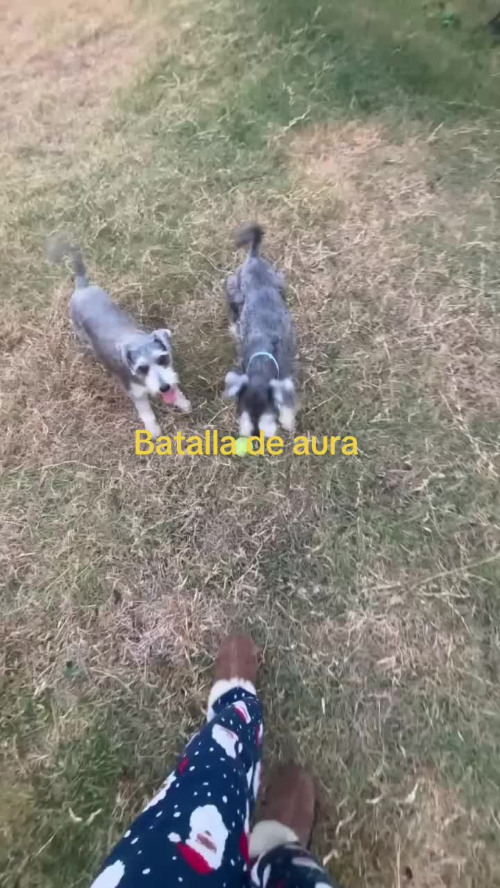 @Italia Espinoza