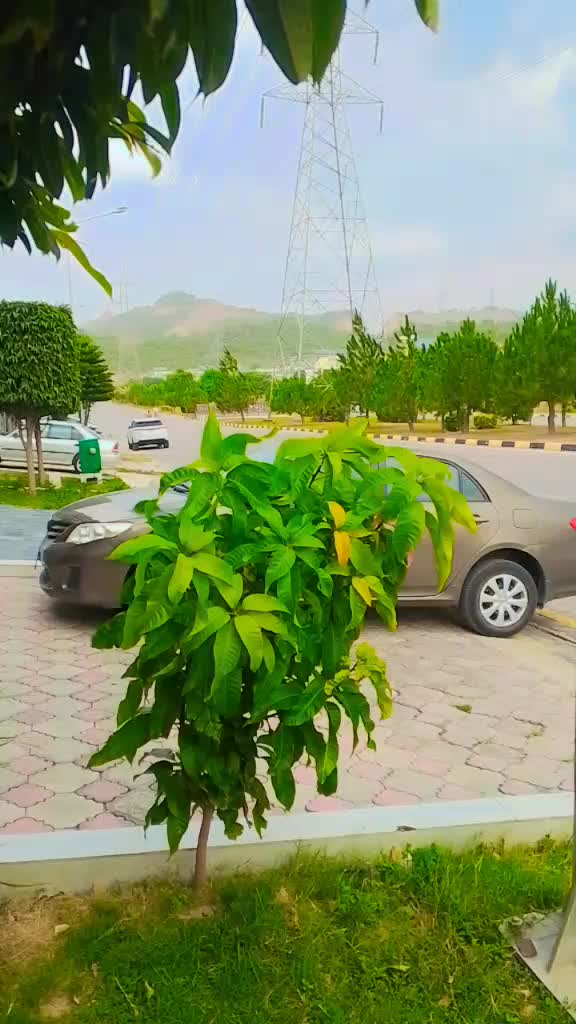 @sabir_khan_Armani
