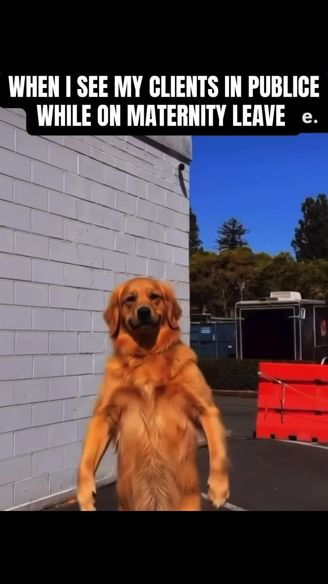 @KAY_THE_DOG_BOSS