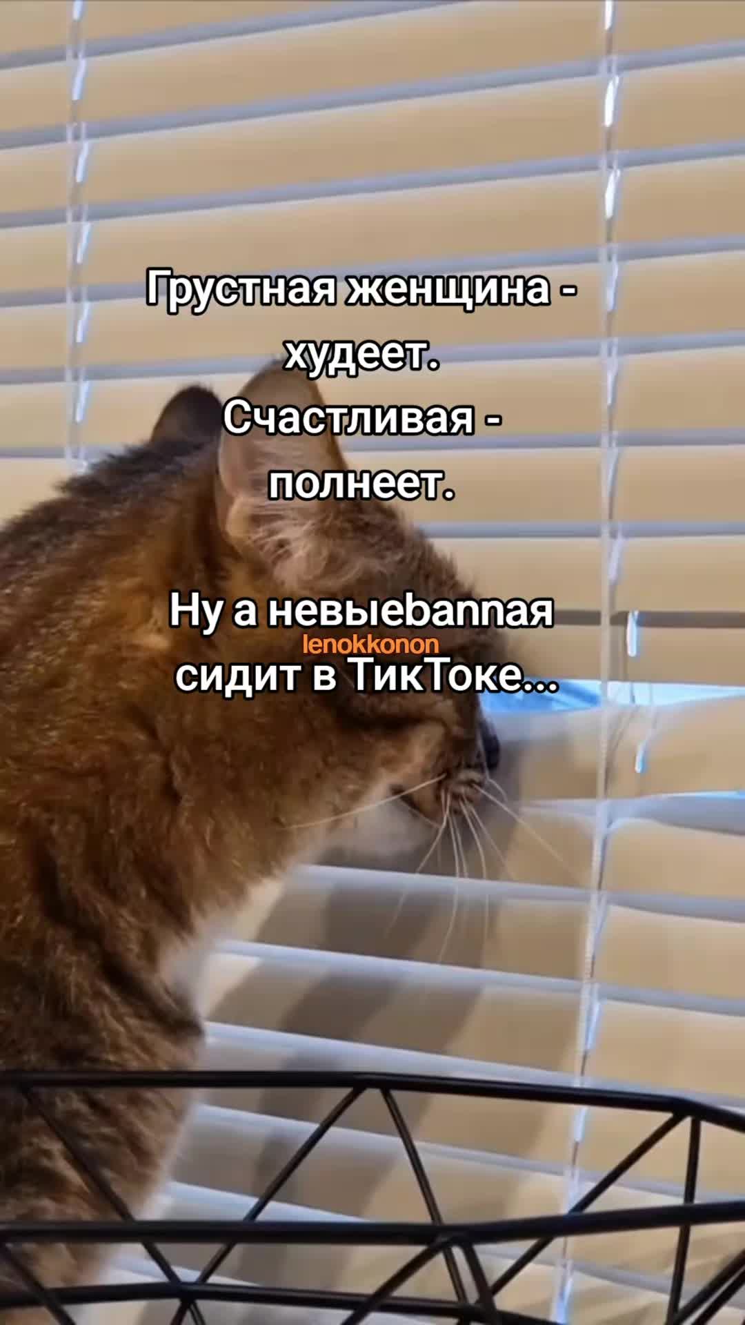 @Lenok