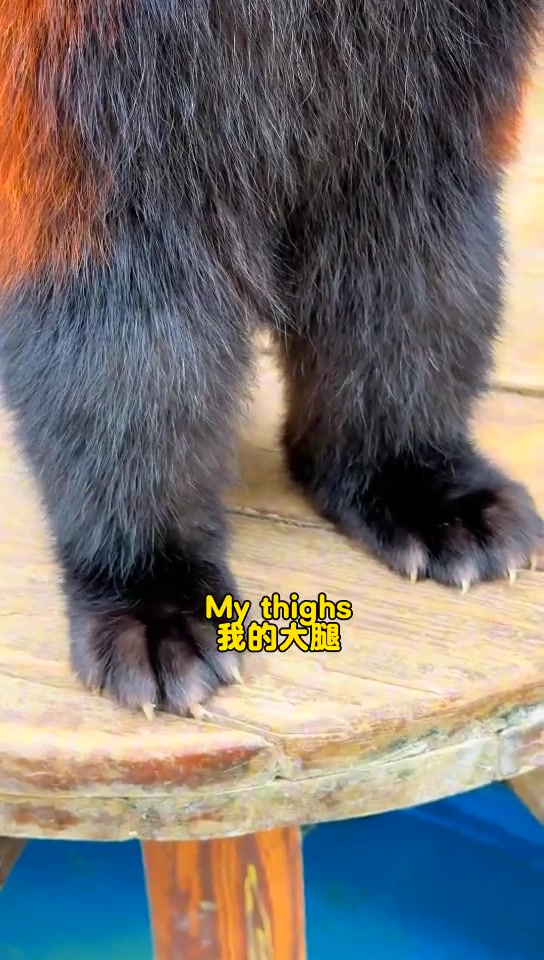 @littlepanda6487