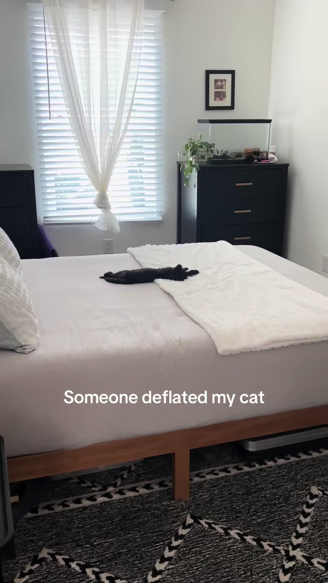 @Christina | Cat Rescue 🐾