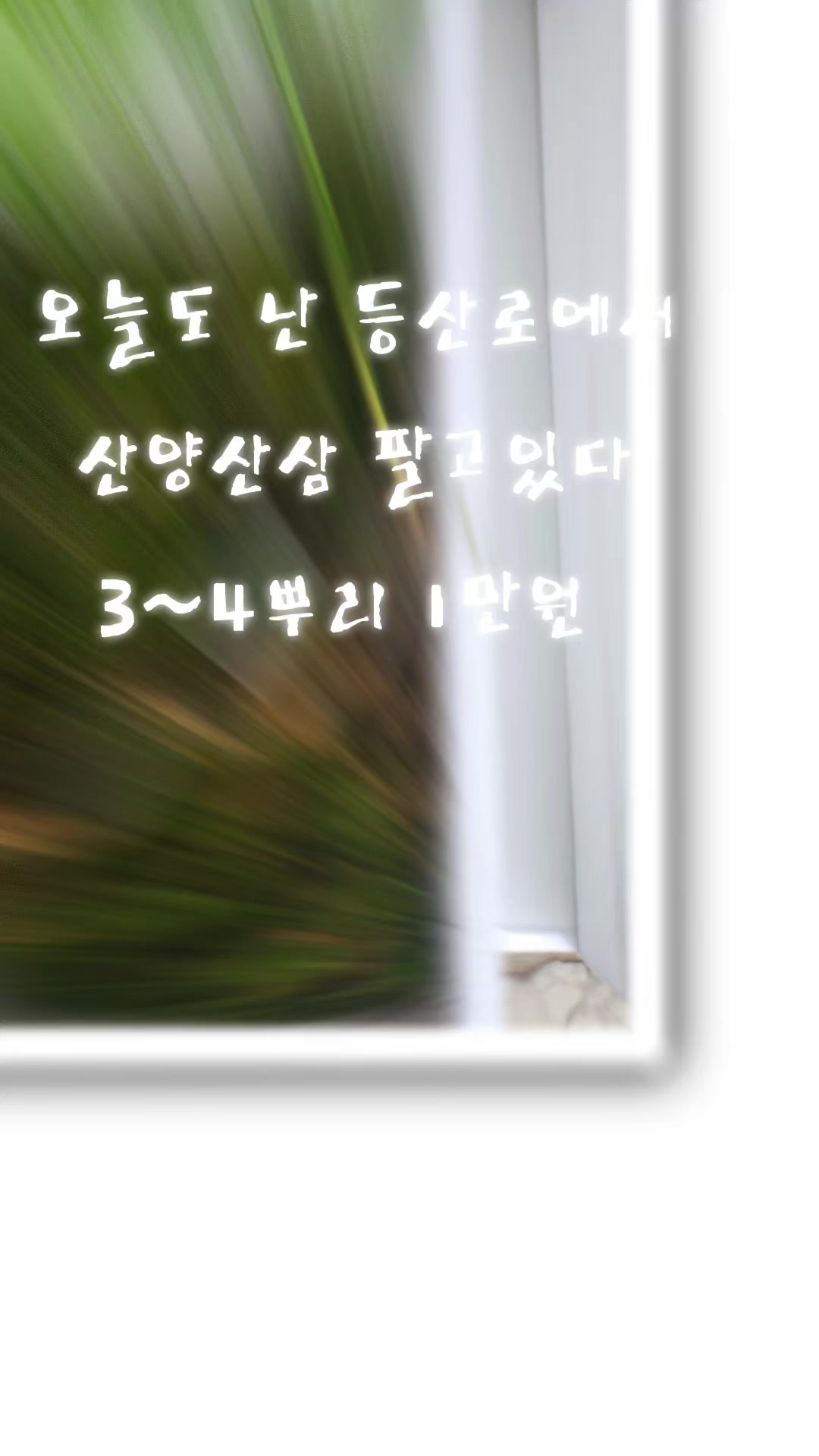 @๐ฆ๋ง๋๋ฆฌ๋ค๐ฆ