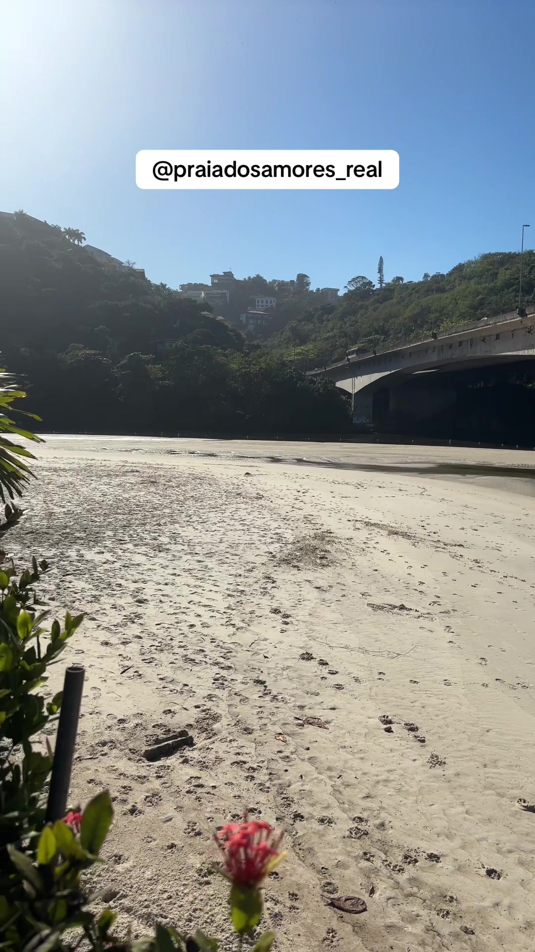 @Praia dos Amores Real