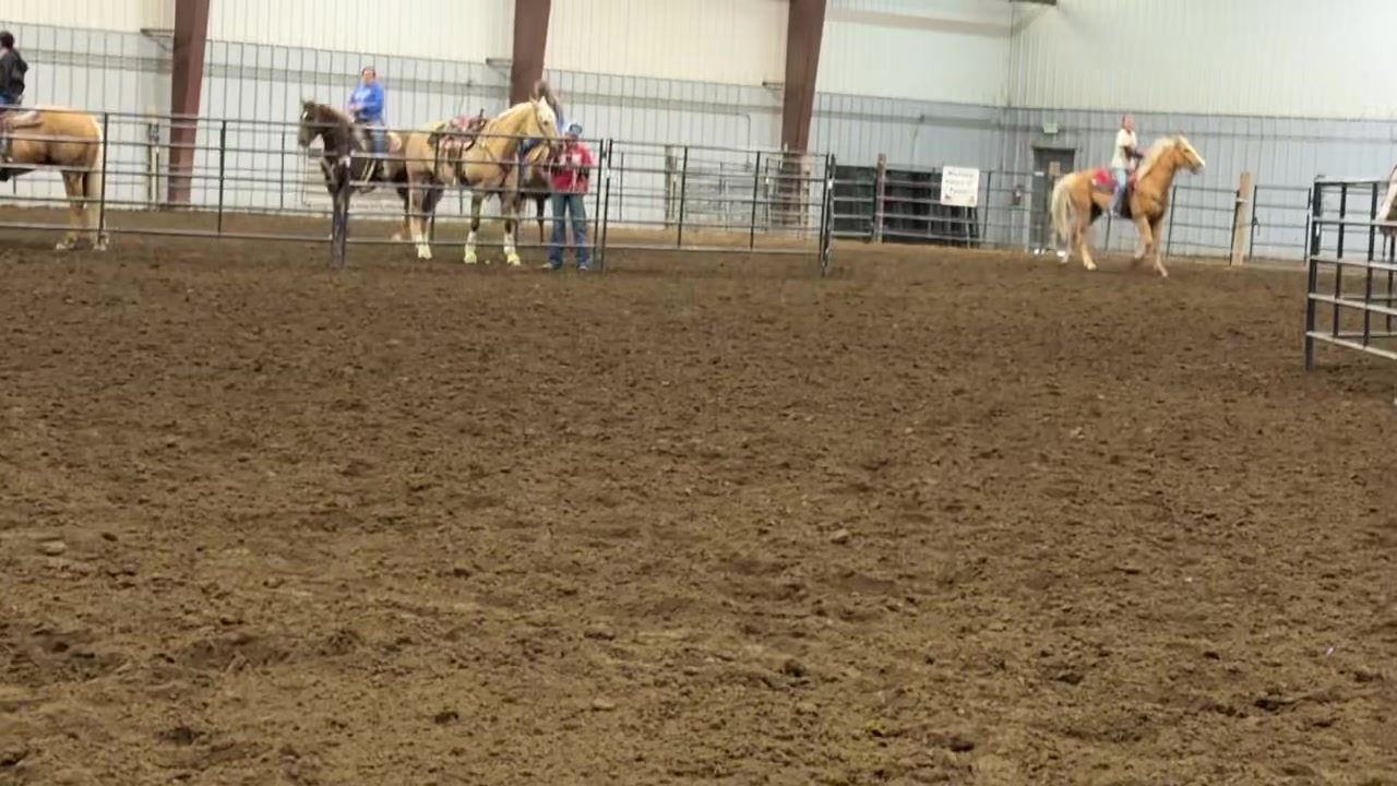 @🐴equestrian🐴
