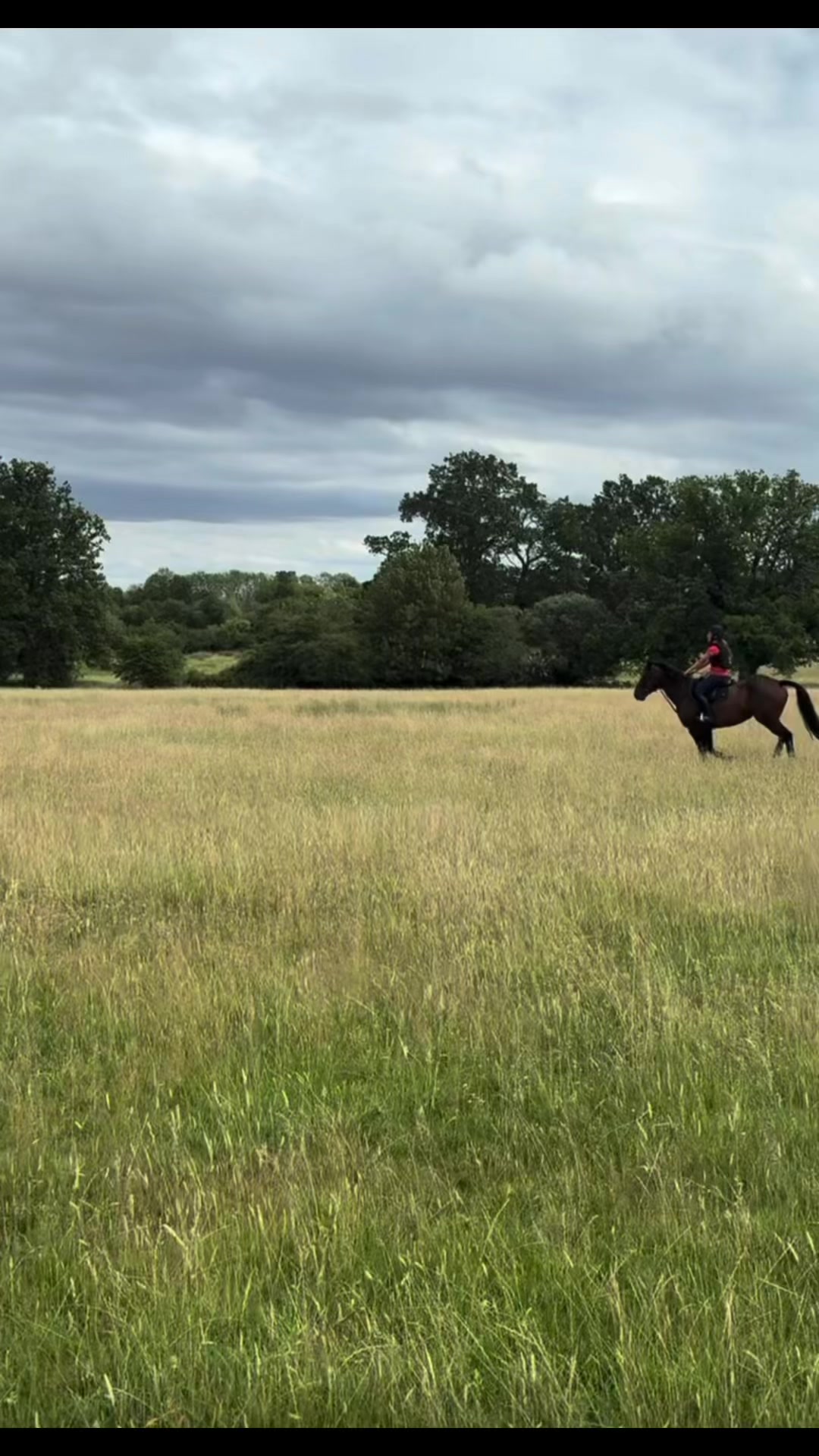 @MG.eq🇬🇧🐴