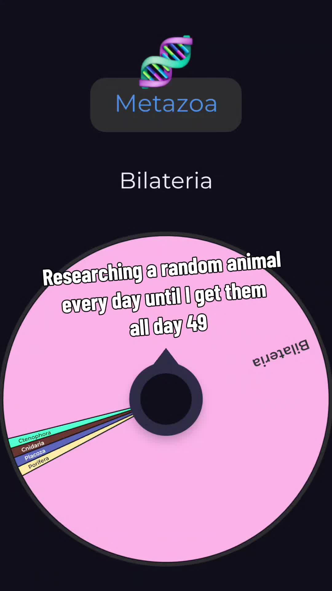 @Red🦕