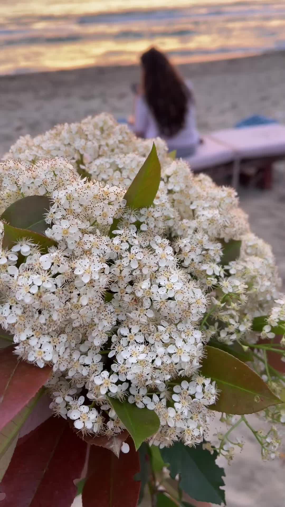 @Ajazi🖤
