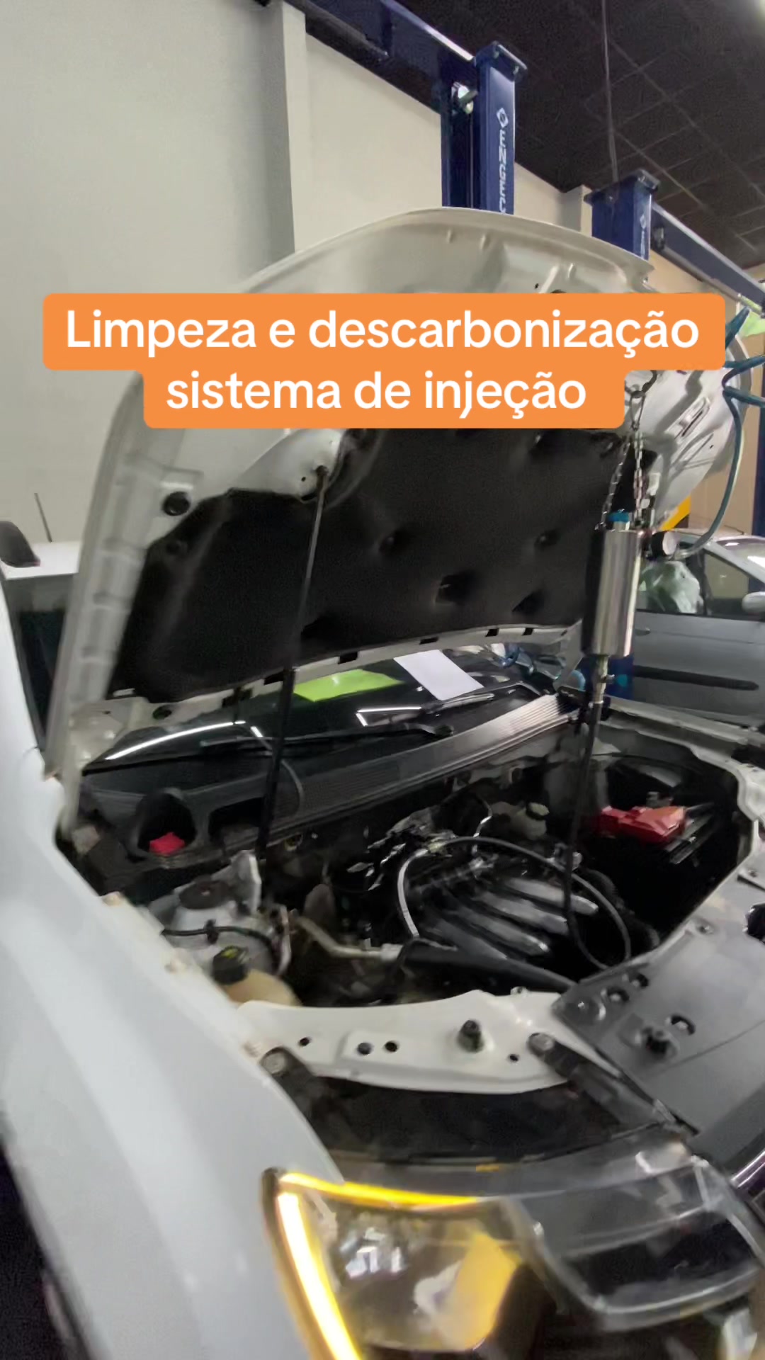 @Marcos.Scotti