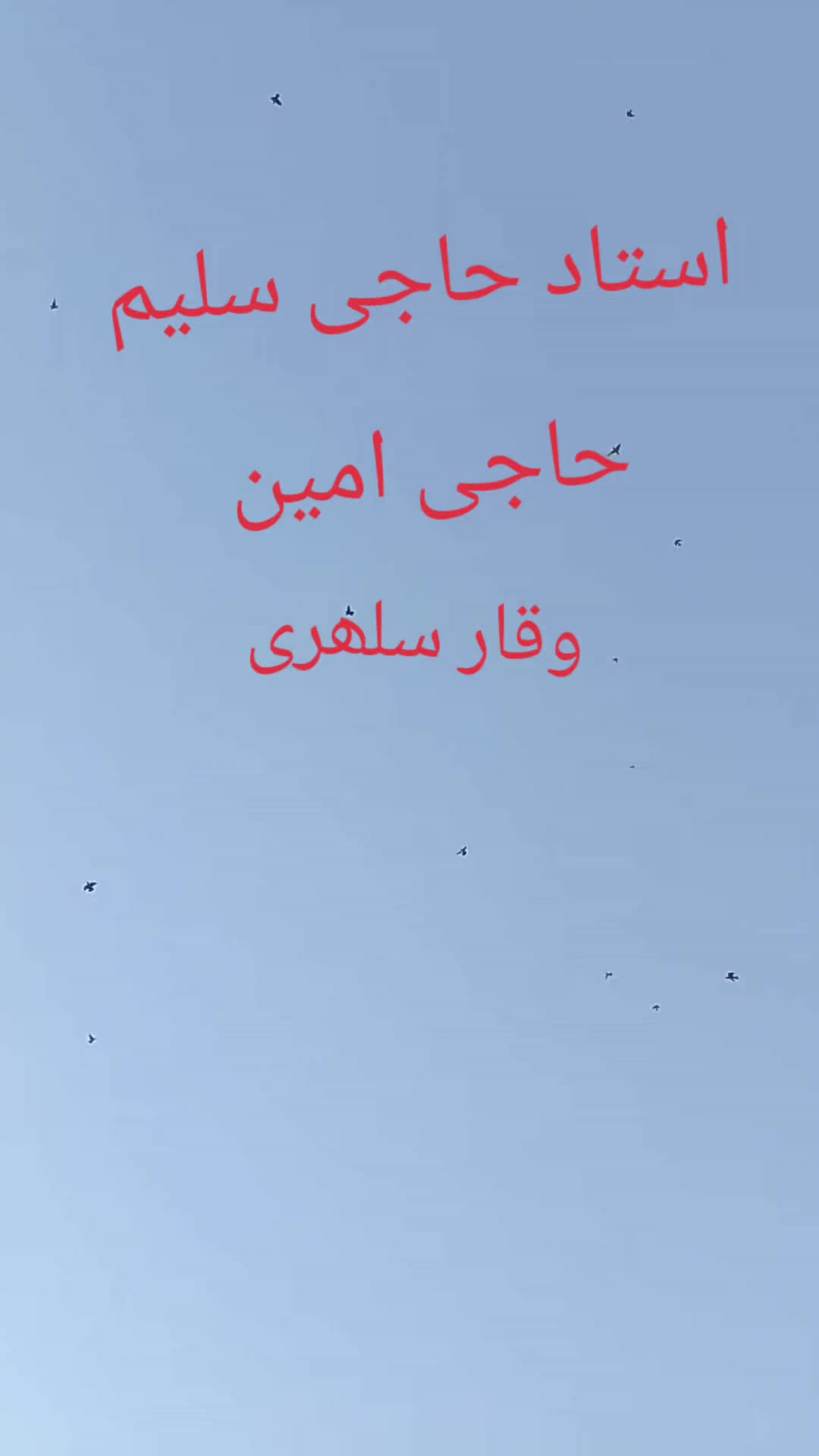 @waqarsulehri555