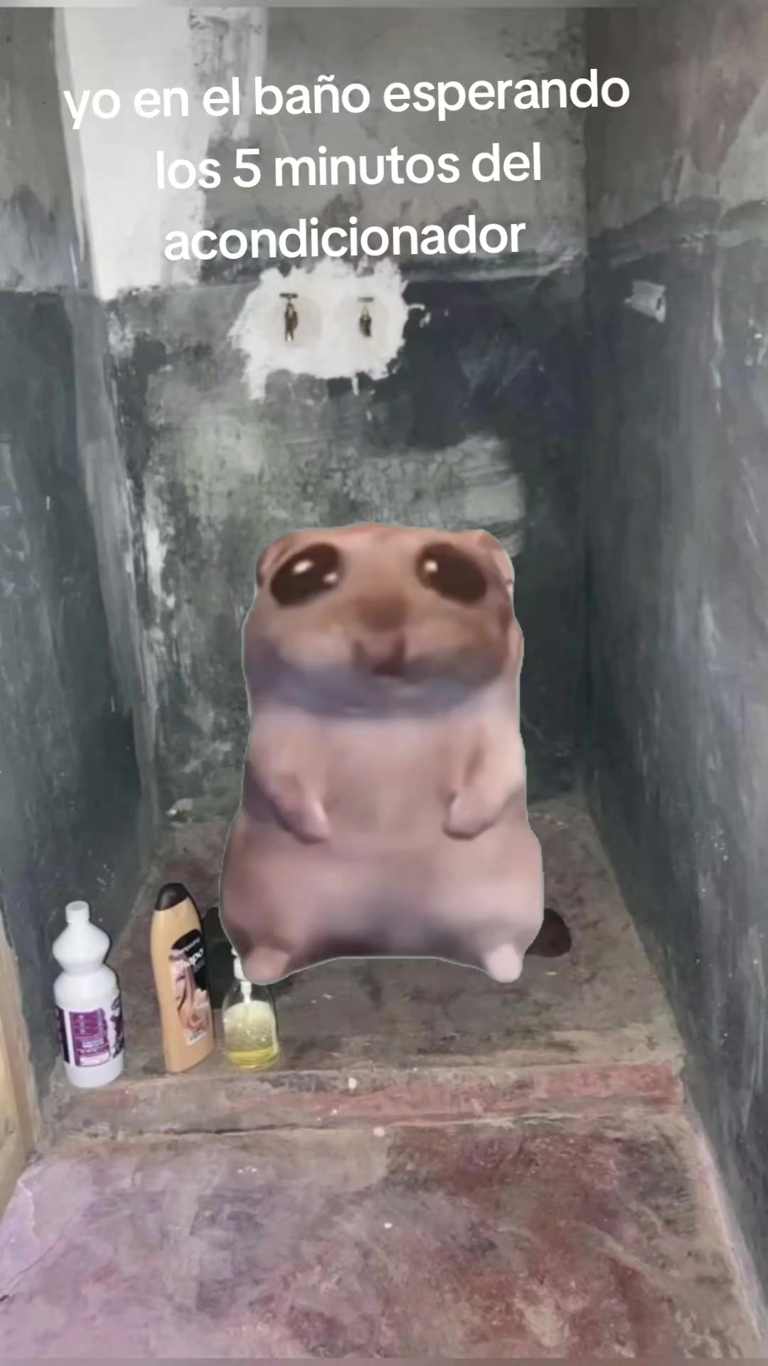@โบ๏ธ๐๐๐๐๐โคออออโ