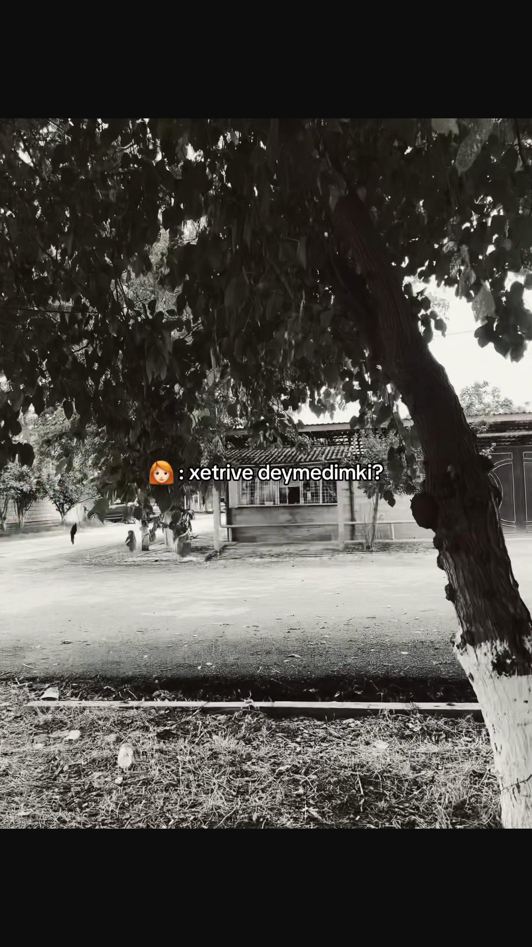 @wer bın ıch?