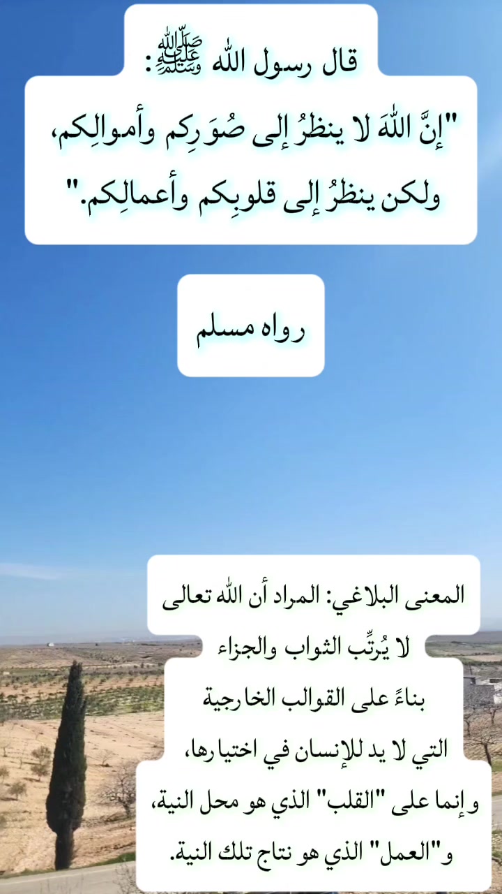 @مشكاة