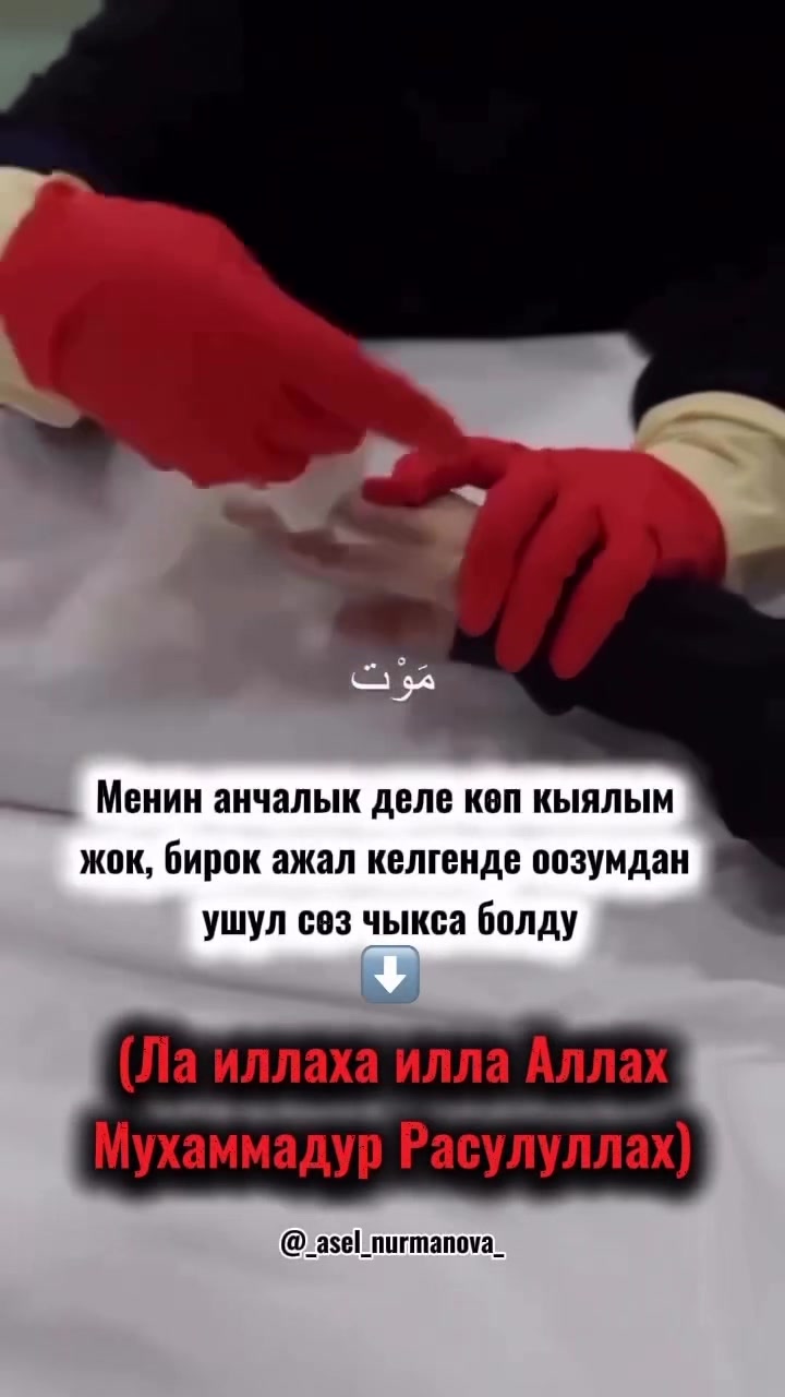 @_asel_nurmanova_