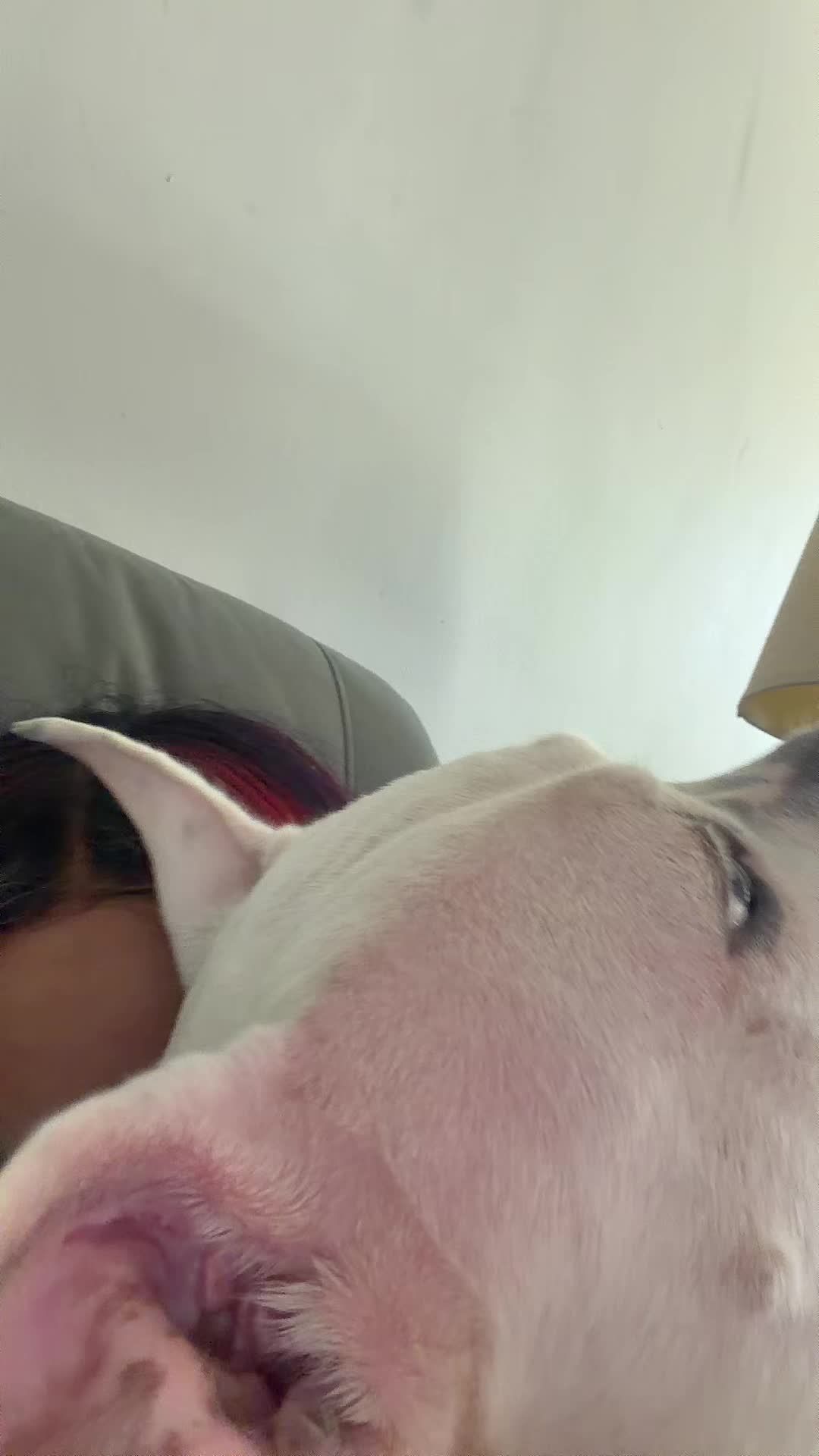 @wrlddomiinxn