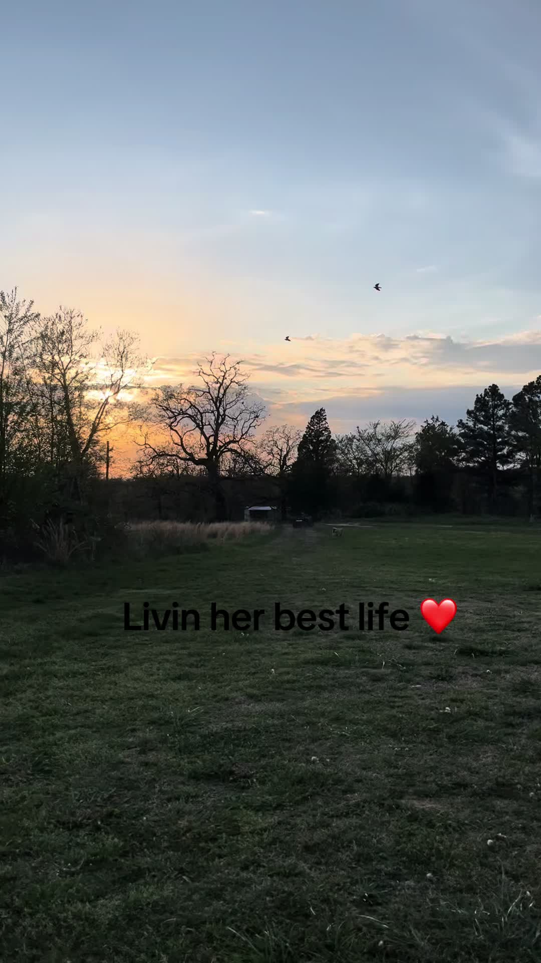 @Just_Tish🫶🏼