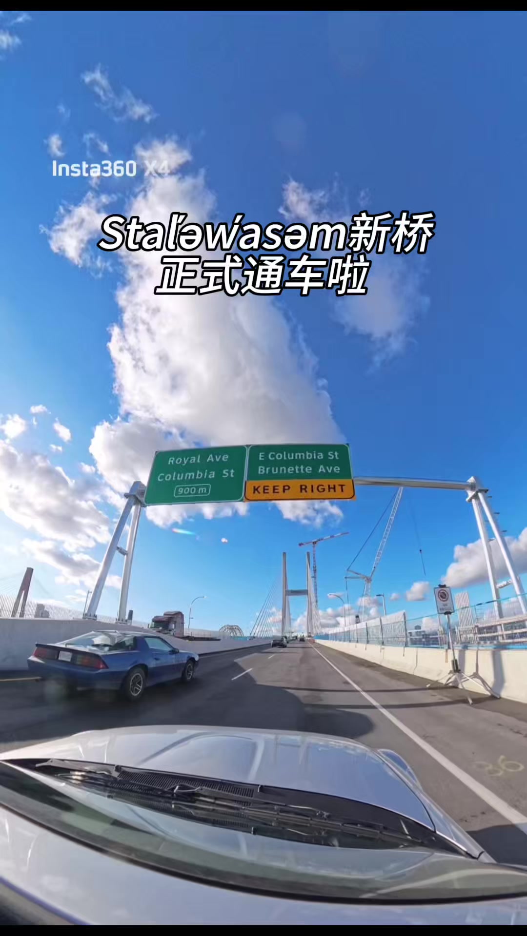 @爱生活的羊妈