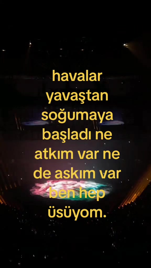 @elzem.