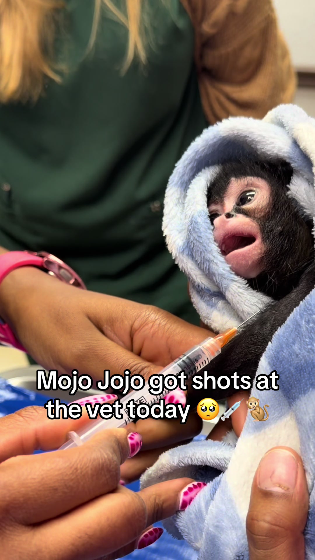 @OJTV & Mojo Jojo🧡