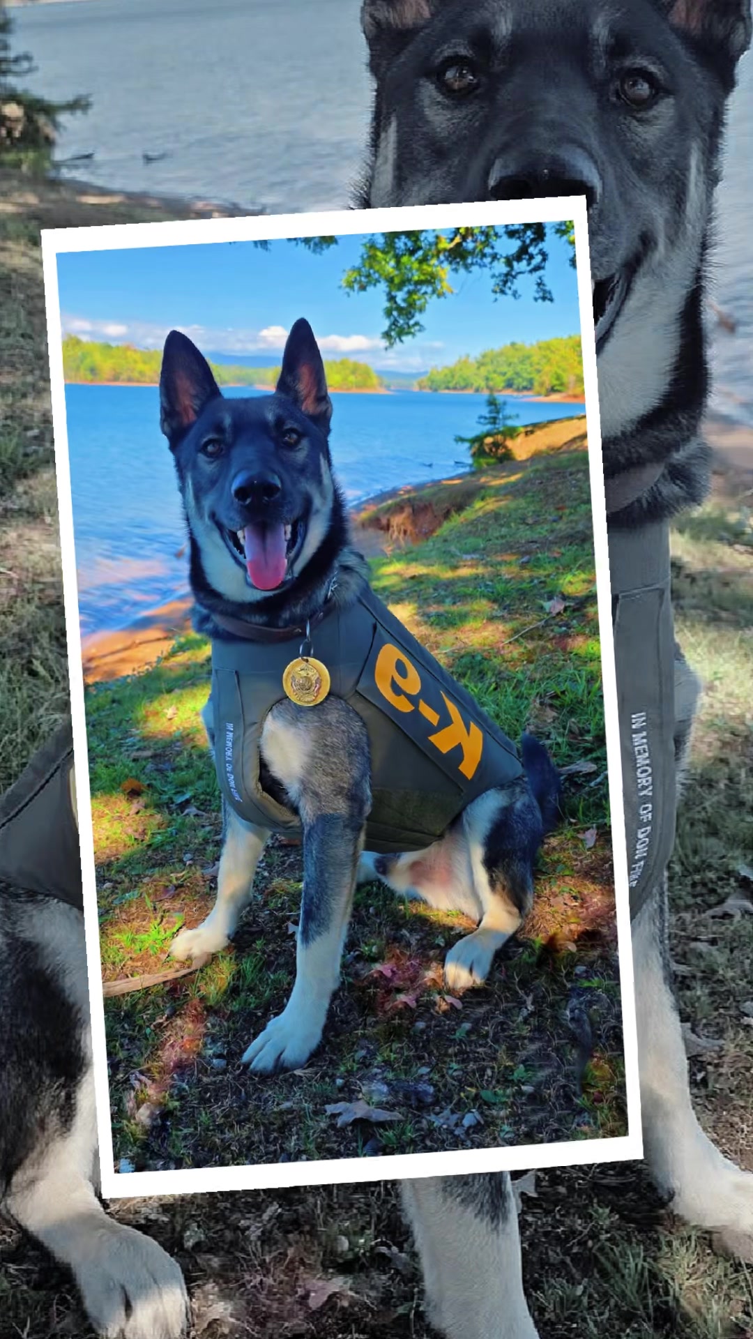 @Vested Interest in K9s, Inc.