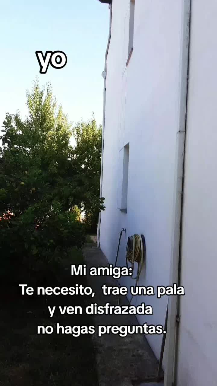 @Rosa
