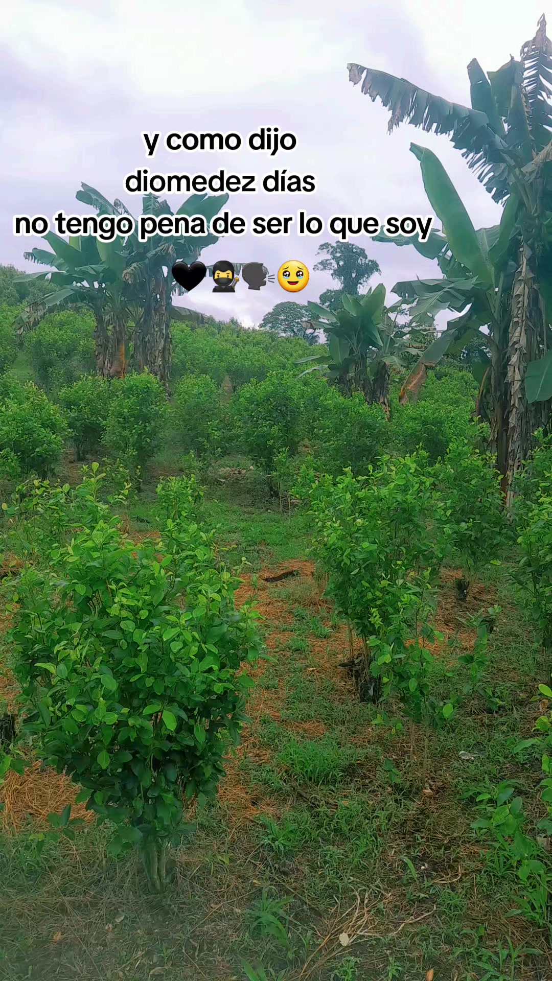 @tu chaparrita ๐ค
