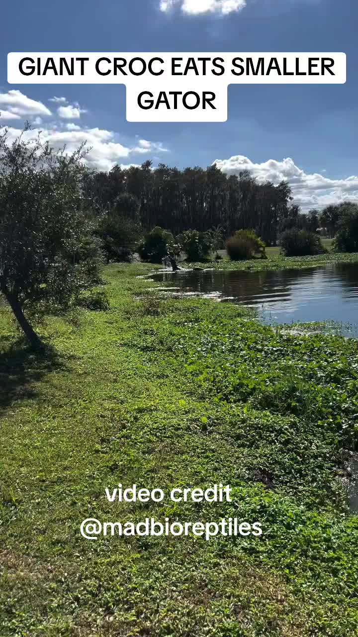 @just-random-stuff