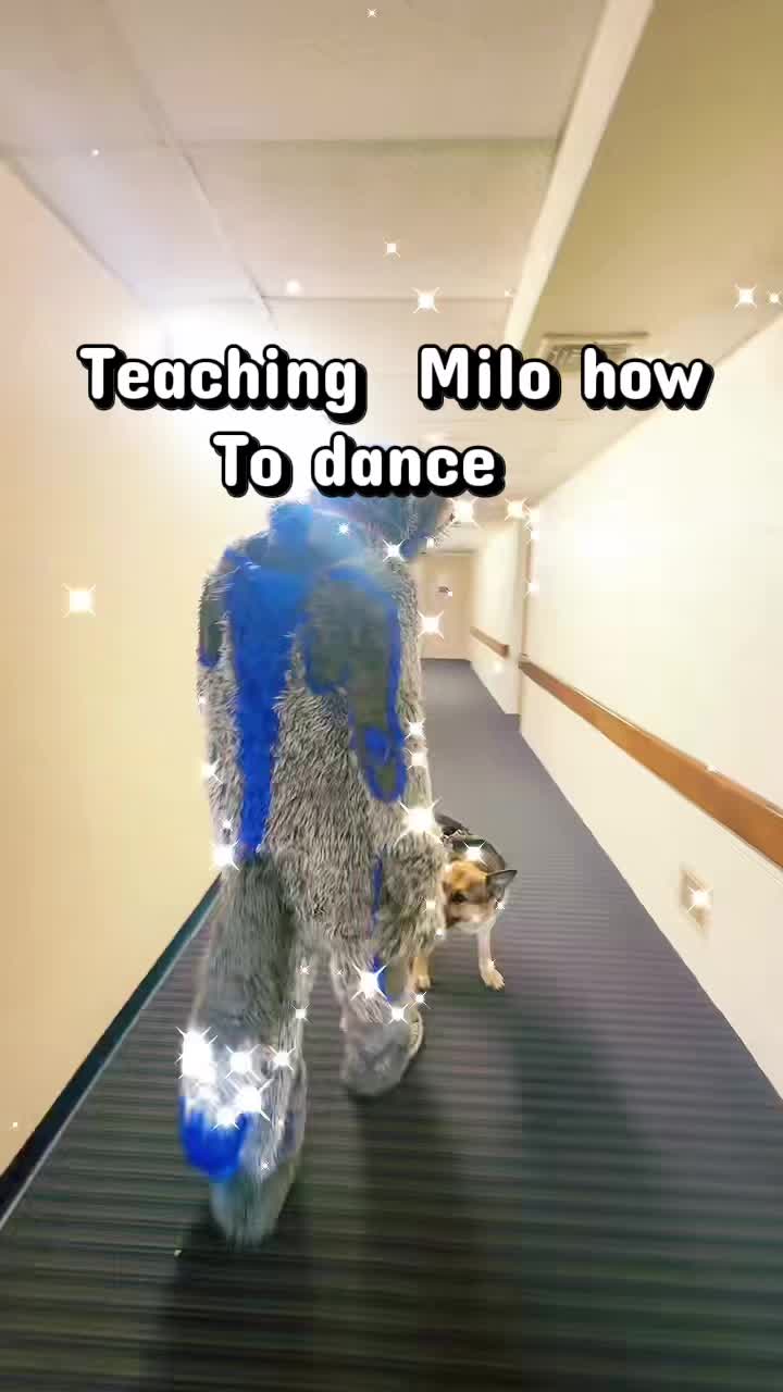 @ph0toshoot