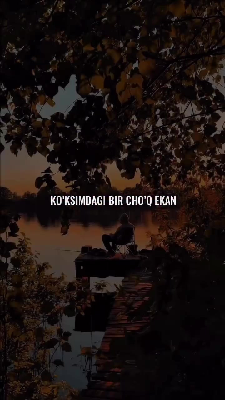 @๐น๐ฉ๐๐๐๐๐๐๐๐๐น
