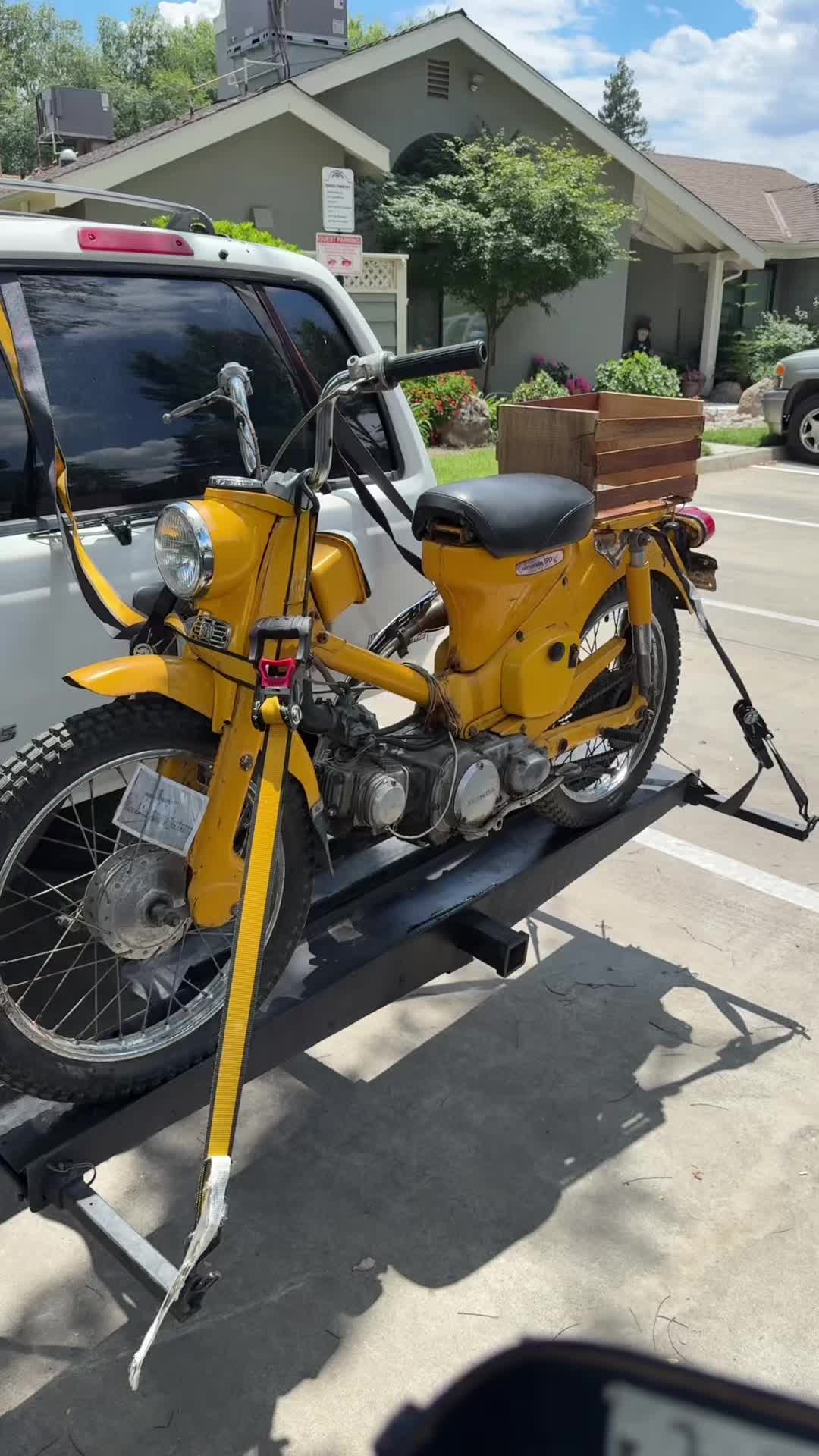 @quail.yxl