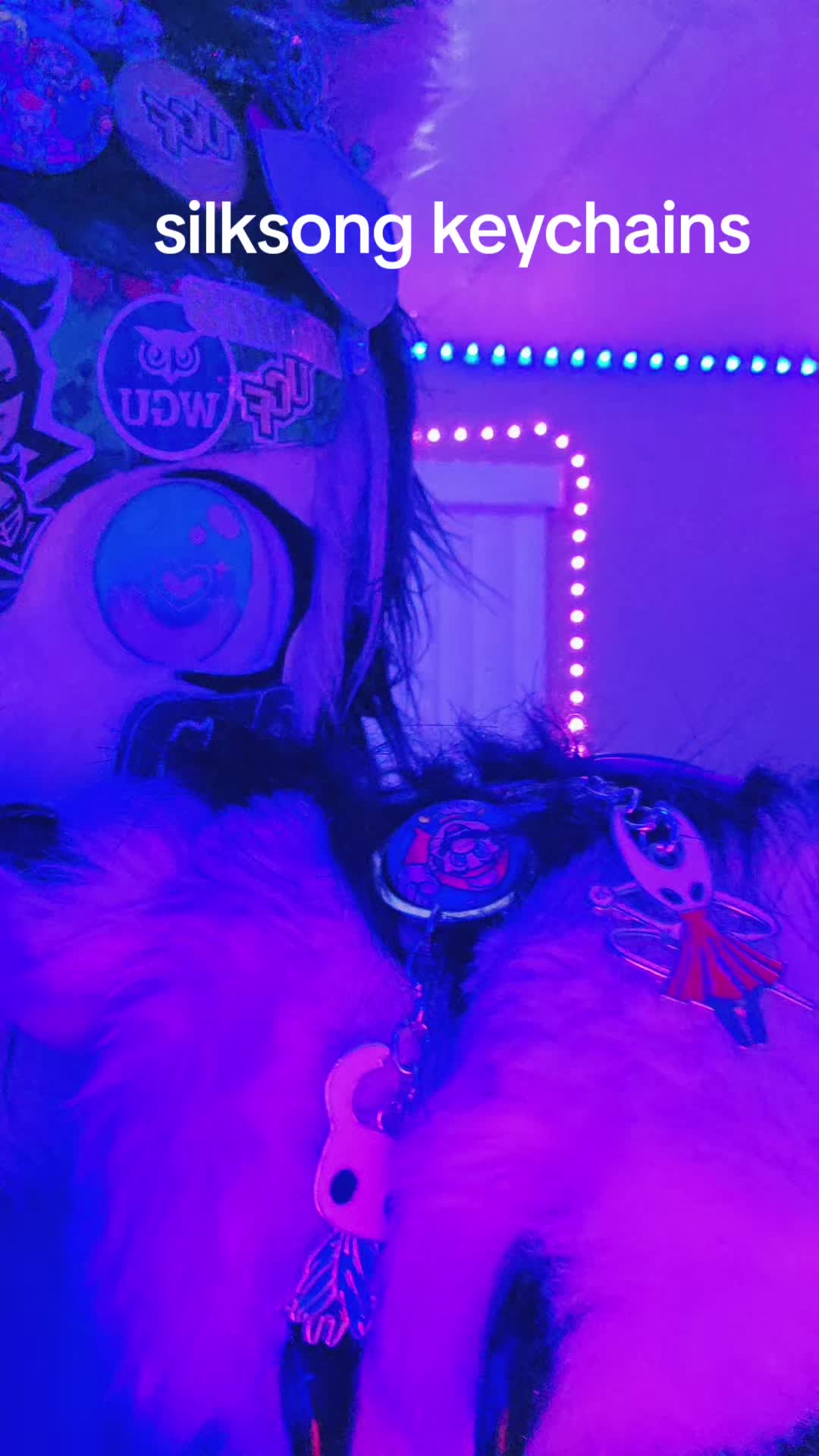@UCFFURRY