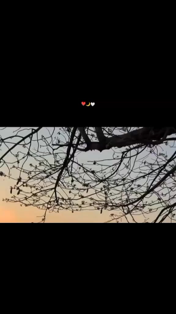 @{𝐀𝐋𝐢}°𝐒𝐮𝐥𝐭𝐚𝐧 𝐨𝐅𝐅⛎