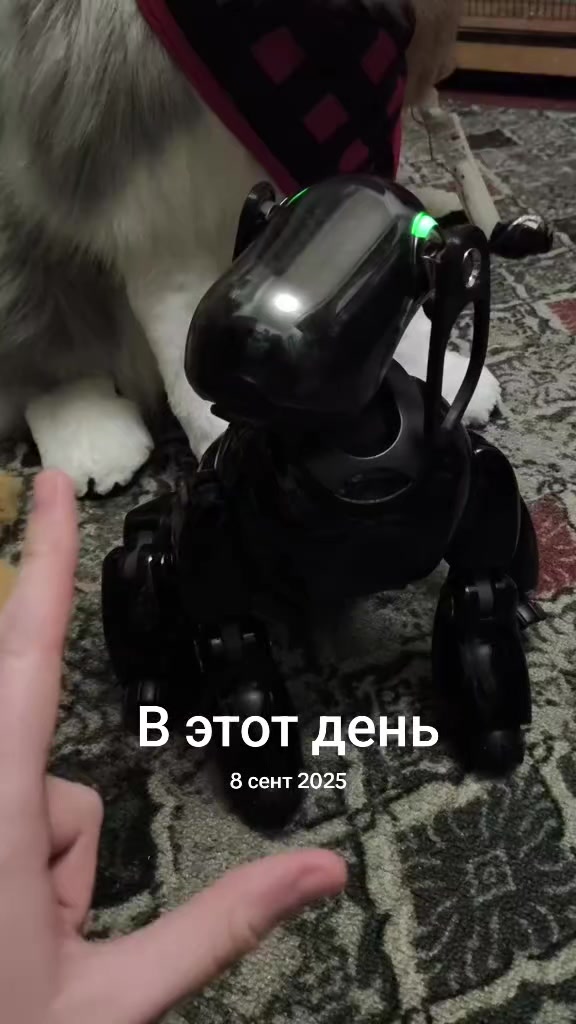@Чевинстри