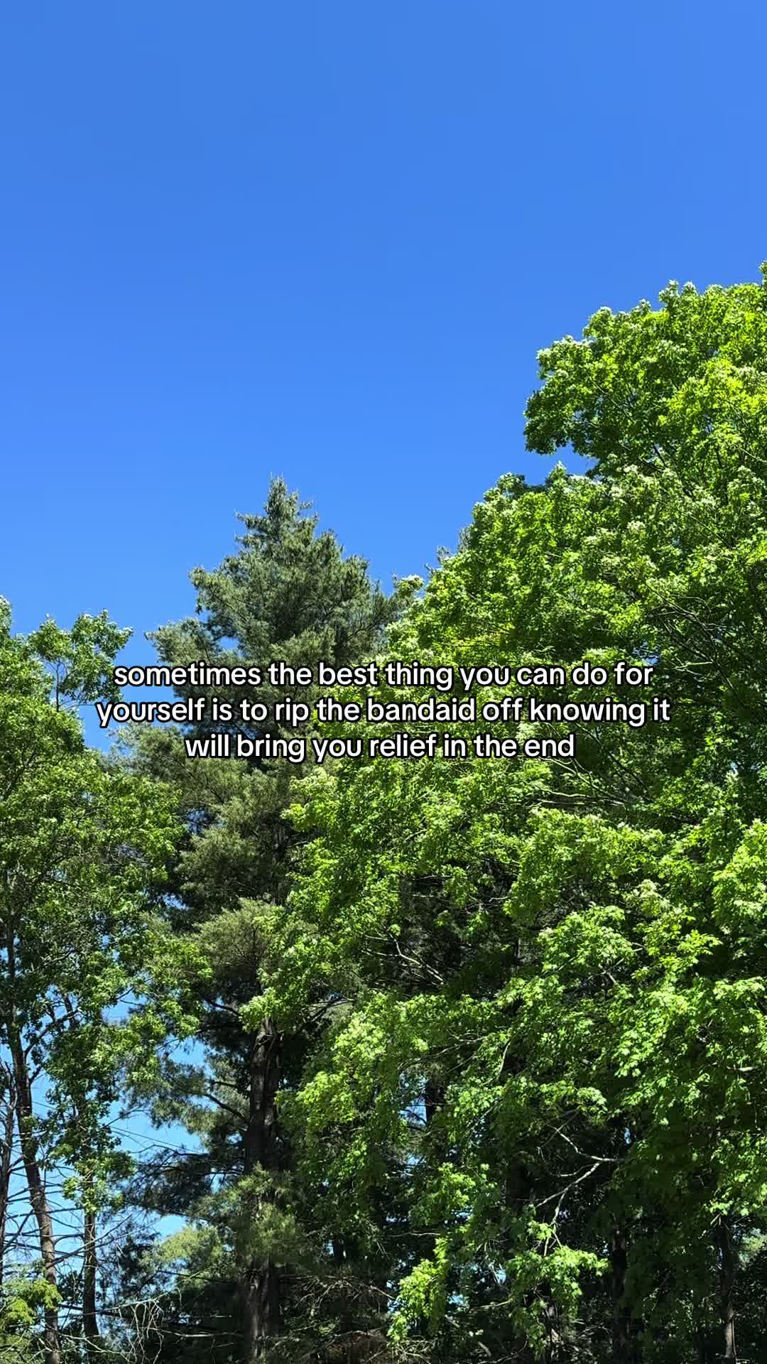 @Kel 🌿🌙