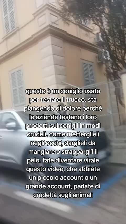 @ELETTRA L'ANIMALISTA