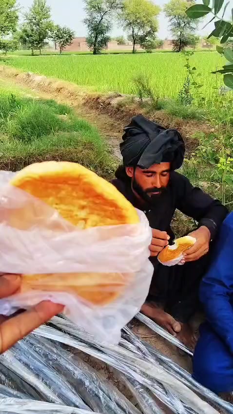 @shahbaz Punjabi 0786