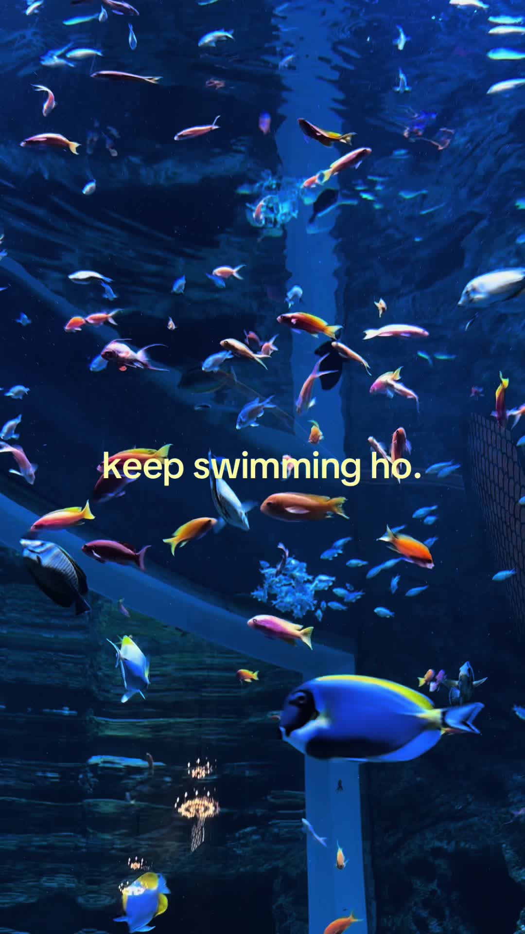 @Brittany